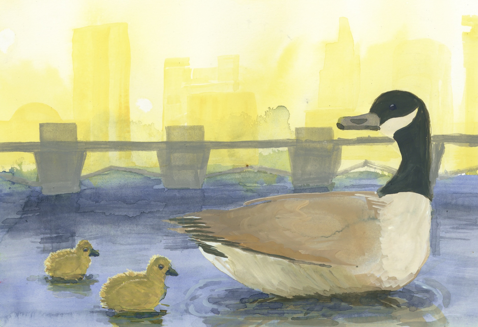 Postcard illustration of a goose and two goslings swimming, with a cityscape in the background.